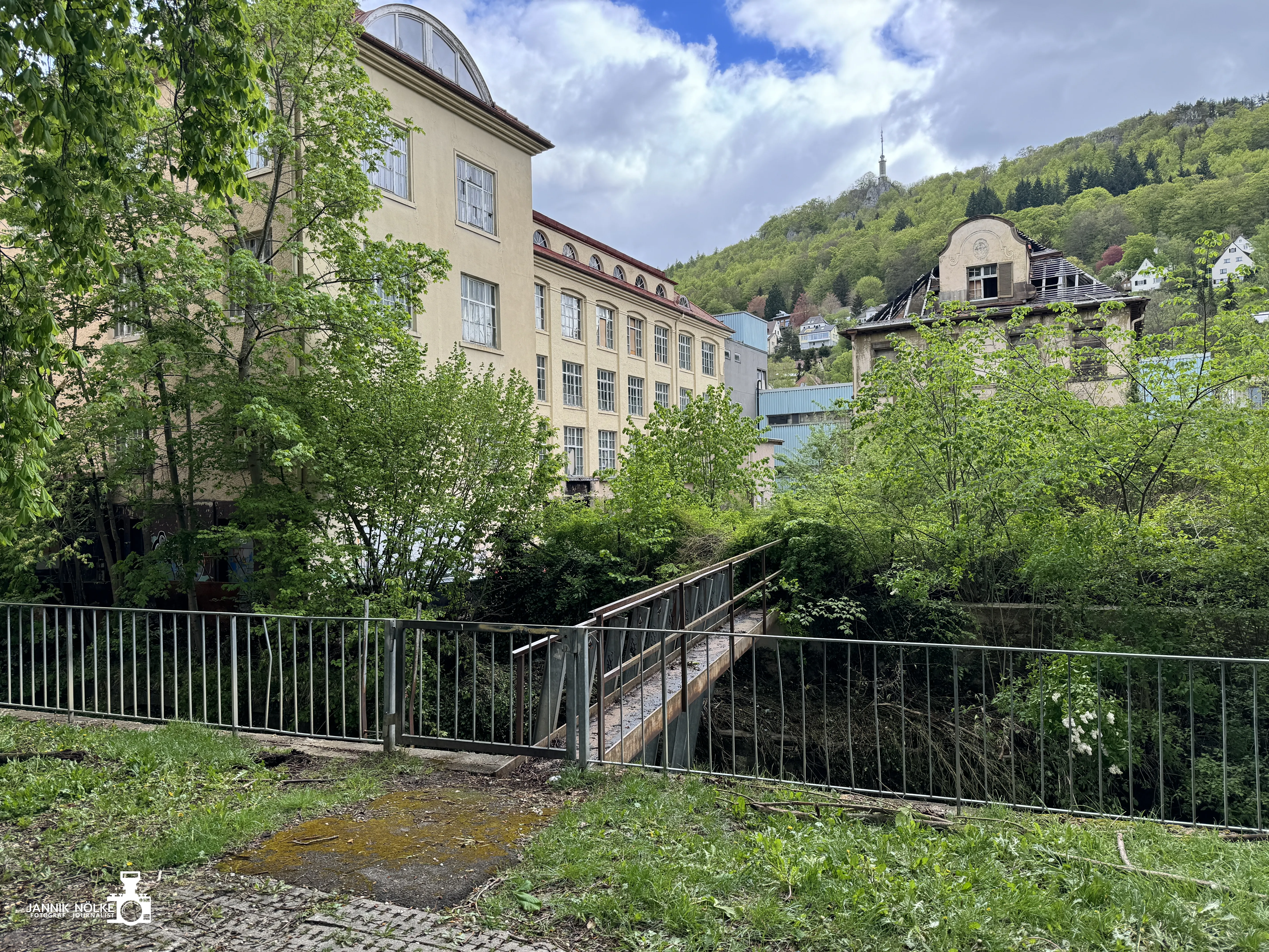 Bild der Galerie